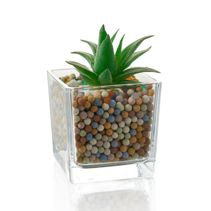 Set of 6 Square Glass Vases for Centerpieces – 5in x 5in x 5in Clear Short Flower Vase, Plant Terrariums, or Candle Holders for Wedding Centerpieces, Office Decor, Home Décor, Parties
