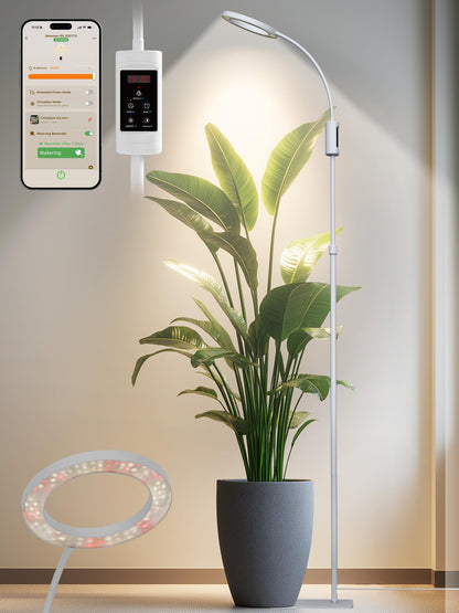 Smart Grow Lights for Indoor Plants, Plant Light with Auto-Timer, Full Spectrum LED Grow Light, Adjustable Height & Stepless Dimming,Plant Assistant Suitable for Most Plants (White, Single Head)