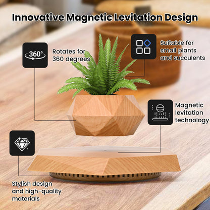 Leekimid Levitating Plant Pot, Magnetic Levitation Flower Pot Suspension Floating Plant Succulents, Air Bonsai Potted Plant for Home Decoration, Living Room, Office, Desk (Wood)