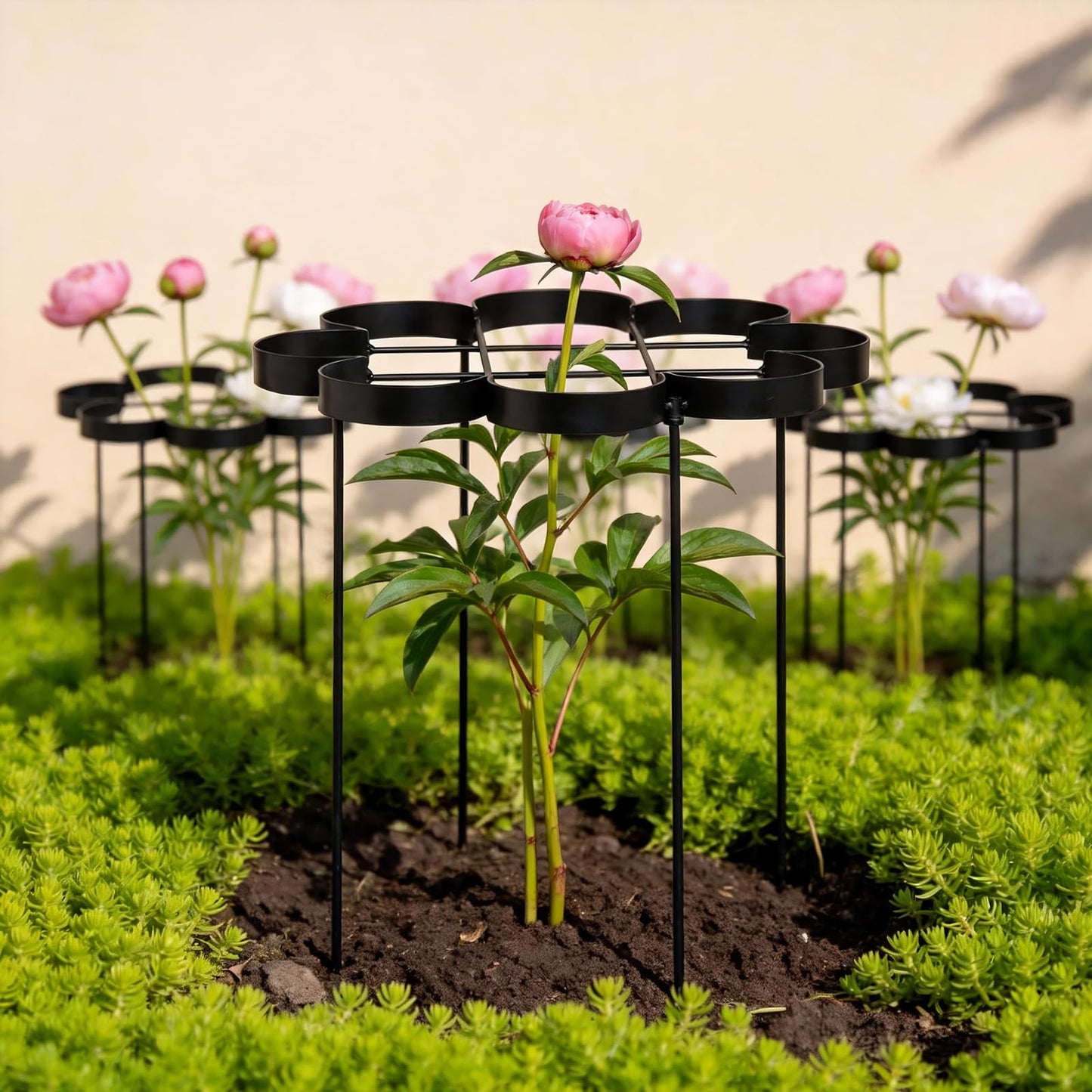 GOOOXIM 25" Peony Cages and Supports - Elegant Black Modern Flower Support Stakes for Peonies & Dahlias - Designed for Stability & Growth - Perfect for Gardens & Patios