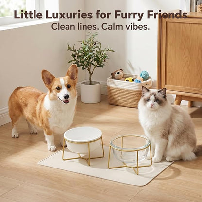 Large Glass Tilted Elevated Cat Dog Bowl Raised Cat Food Water Bowl Dish Pet Comfort Feeding Bowls with Gold Iron Stand