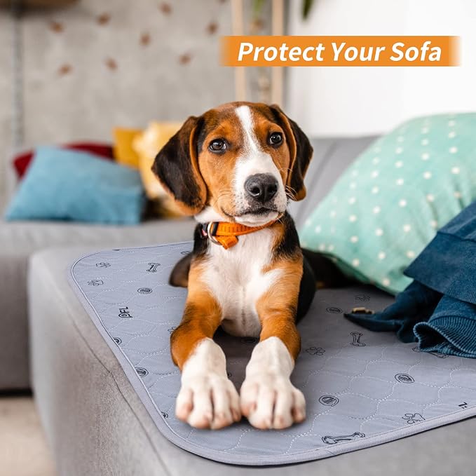 Washable Pee Pads for Dogs: 24x36 Reusable Puppy Pads, Absorbent Whelping Mats with Non-Slip Bottom Waterproof Bone Print