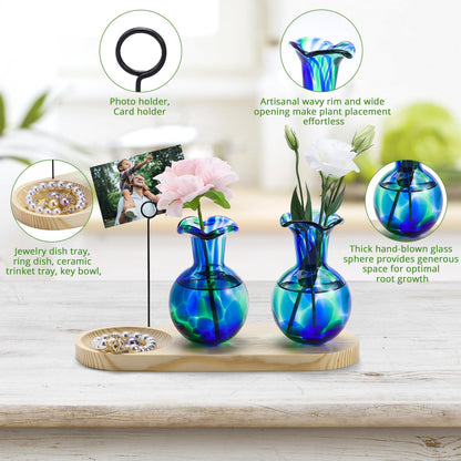 Pozfun Hand Blown Glass Plant Propagation Stations Plant Terrarium Wooden Stand for Hydroponic Plants Combine Jewelry Tray and Photo Holder Office Home Garden Decor - 2 Bulb Glass Vases