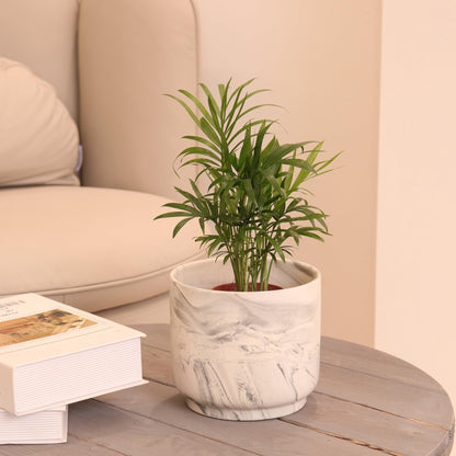 Padolitlay Ceramic Plant Pot 6 Inch Marble Planter Pots with Drainage Holes & Mesh Pads, Modern Plant Pot for Indoor Outdoor Plants-Cylinder Round Planter Pot