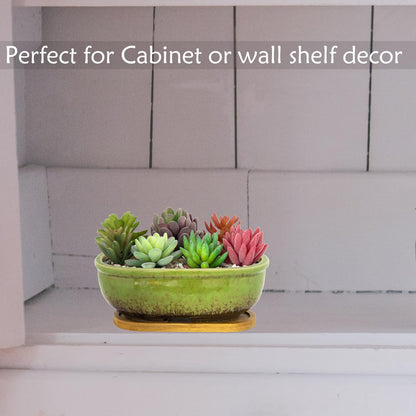ARTKETTY Succulent Pots - Large Succulent Planters with Drainage Tray, 7.9'' Ceramic Pots for Indoor Cactus Plants, Oval Bonsai Flower Plant Container Bowl Decorative Home Desk Windowsill