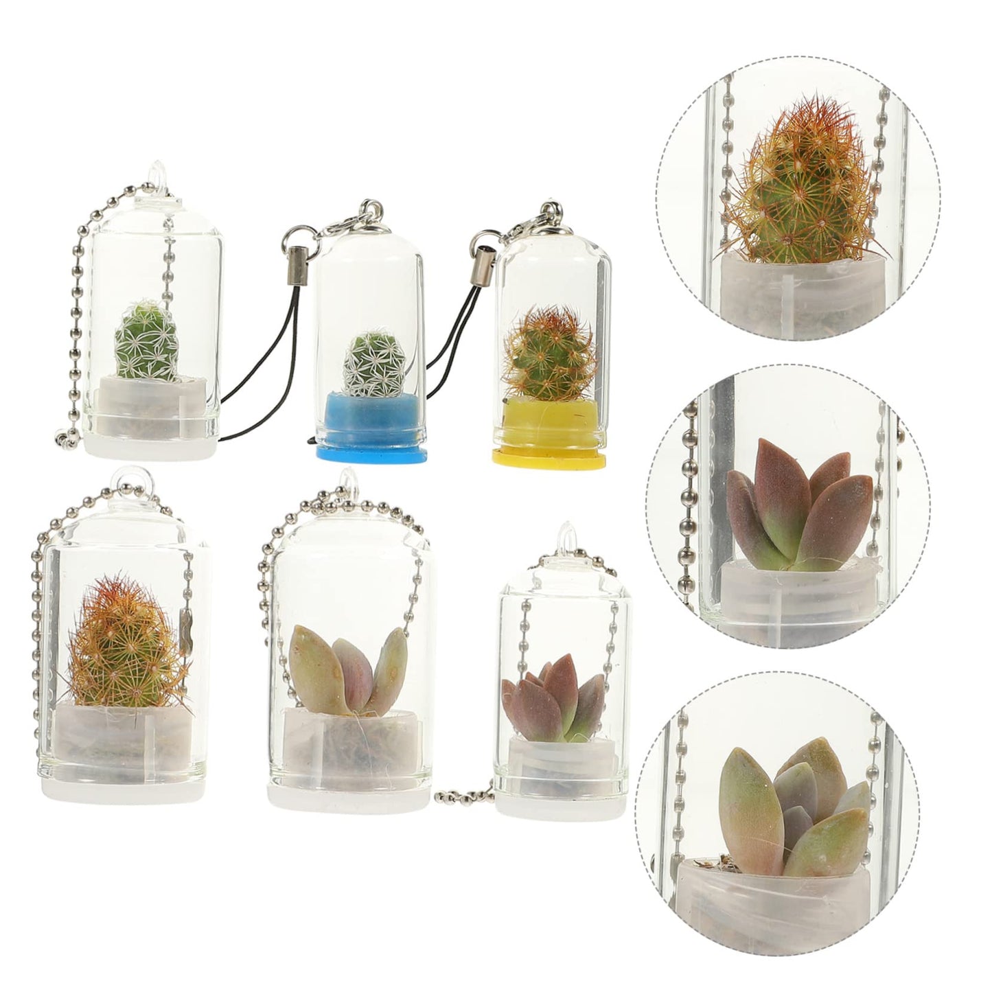 GALPADA 6pcs Key Chain Keychain Charm Keychain Accessories Decor Plants Plant Keychain Hanging Terrarium Large Home Keychain Vase Jar Clear Vase Car Miniature Hanging Planters Bulb Glass