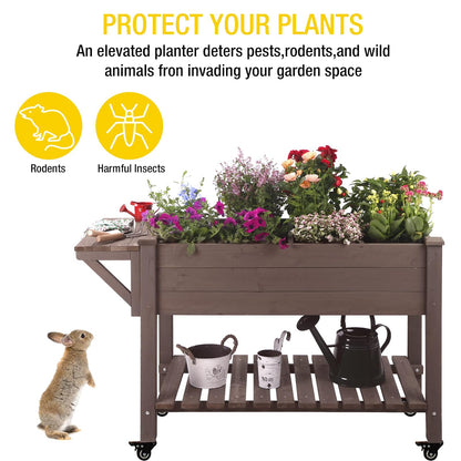 Aivituvin Raised Garden Bed on Wheels, Elevated Plant Boxes Outdoor Large with Grow Grid - with Large Storage Shelf 52.7" x 22" x 30"