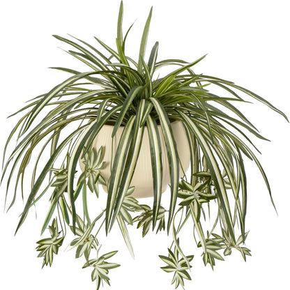 Sousi Artificial Spider Plant Silk Faux Chlorophytum Comosum Greenery Fake Spider Hanging Plant Decor for Outdoor Indoor Home Garden Office Summer Decoreation 3Pcs(23.62'')