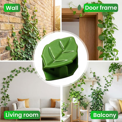60 Pcs Plant Climbing Wall Fixture Clips with Acrylic Adhesive Stickers, Leaf Fixer Invisible Wall Vines Fixing Clips Self-Adhesive Hook Plant Vine Traction for Indoor Outdoor Decoration (60 Pcs)