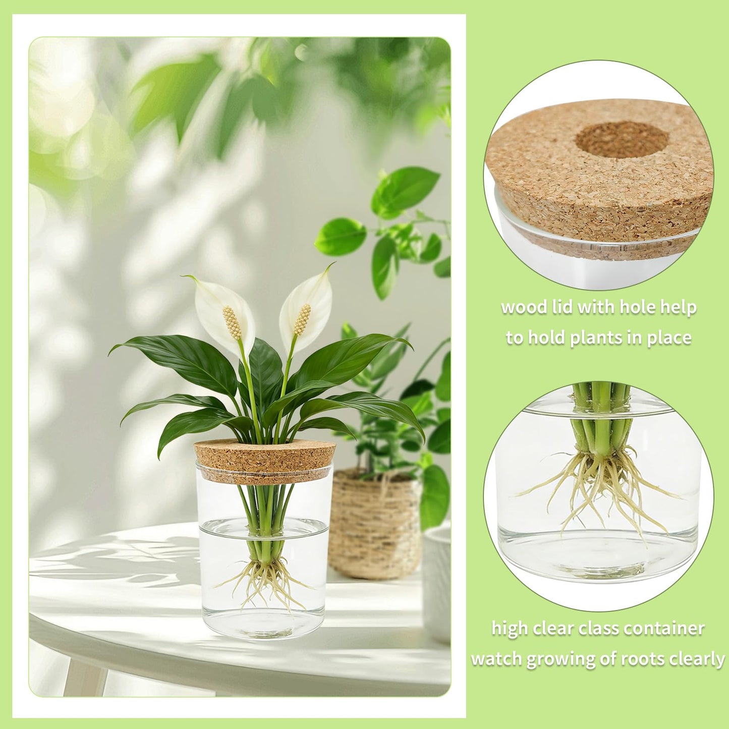 Glass Propagation Station for Plants Set of 4,Desktop Vases for Herb,Plant Cuttings,Planter Jars for Home,Propagation Flower Vases for Living Room,Bedroom,Home Office Decoration,Plant Lover Present