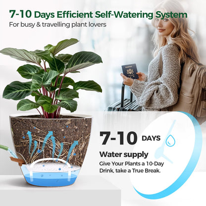 T4U 4 Pack 6 Inch Self Watering Pots - Water Level Indicator & Deep Reservoir, Mess-Free Planter for Busy People, Beginners & Gardeners, Fit Herbs/Pothos/Succulents Plants, Indoor Outdoor Use (White)