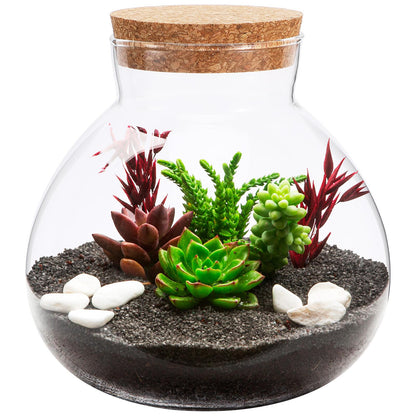 SEWACC Glass Terrarium Jar with Cork Lid, 6 Inch Round DIY Microlandscape Bottle for Plant Terrarium Decor and Airtight Storage, Home Office Kitchen Use