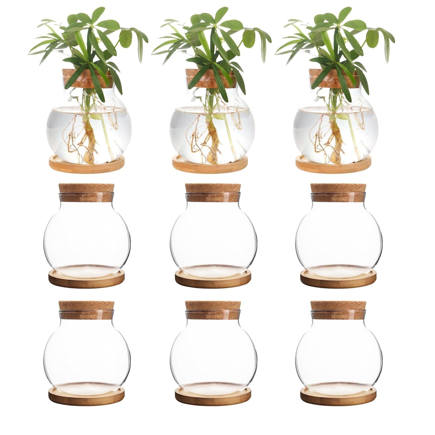 CHPINDAM Plant Propagation Station,Hydroponic Glass Container Vase Jars, with Wooden Saucer for Desks, Houses, Garden Decorations, Home Kitchen Decorations and Gifts for Plant Lovers (9)