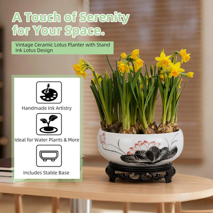 VICASKY White Ceramic Hydroponic Planter Bowl with Plastic Base - Oriental Lotus Shape Flower Pot for Daffodils, Water Plants, Lucky Bamboo & Home Decor