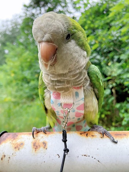 Bird Diaper Harness Flight Suit Clothes, Parrot Flight Suit with Leash, Bird Flying Clothes with Rope and Handle for Outdoor Activities Training (Pink Without Leash,Medium)