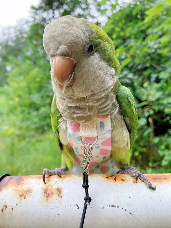 Bird Diaper Harness Flight Suit Clothes, Parrot Flight Suit with Leash, Bird Flying Clothes with Rope and Handle for Outdoor Activities Training (Pink with Leash,Medium)