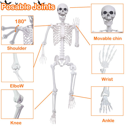 LOSFOTBO 5.4ft/165cm Halloween Skeleton with Realistic Crows Full Body Plastic Human Bones with Movable Joints for Indoor Outdoor Halloween Decor