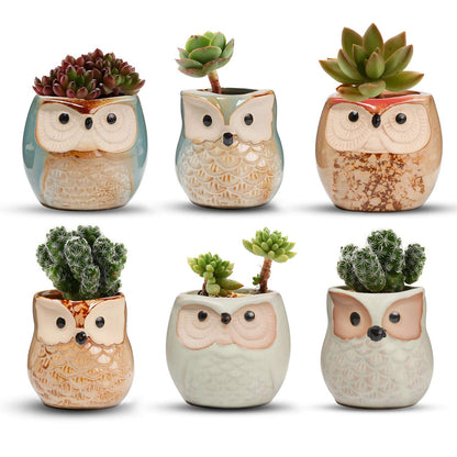 T4U 2.5 Inch Owl Ceramic Succulent Planter Pots with Drainage Hole Set of 6, Mini Cute Flower Pots Tiny Plant Holder Container Best for Home Office Garden Decoration Owl Gift Ideas