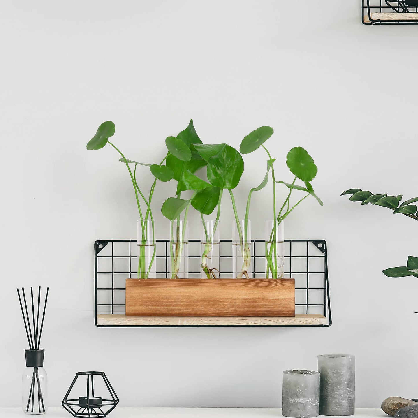 YIBOT Propagation Stations, Plant Terrarium with Wooden Stand, 5 Glass Test Tubes Vases, Birthday Gardening Gifts for Women Mom Plant Lovers, Home Office Desk Decor