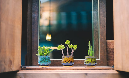 LamDawn Cute Ceramic Succulent Garden Pots, Planter with Drainage and Attached Saucer, Set of 5 -Plants Not Included (Fambe)