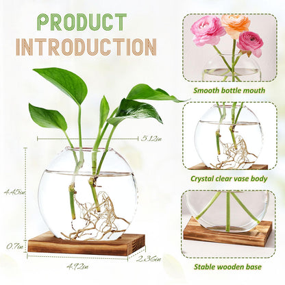 TkoYuHm 4 Pack Plant Propagation Station with Wooden Base Glass Terrariums for Indoor Plants Decorative Round Vases for Flowers Hydroponic Planter for Home Office Decor