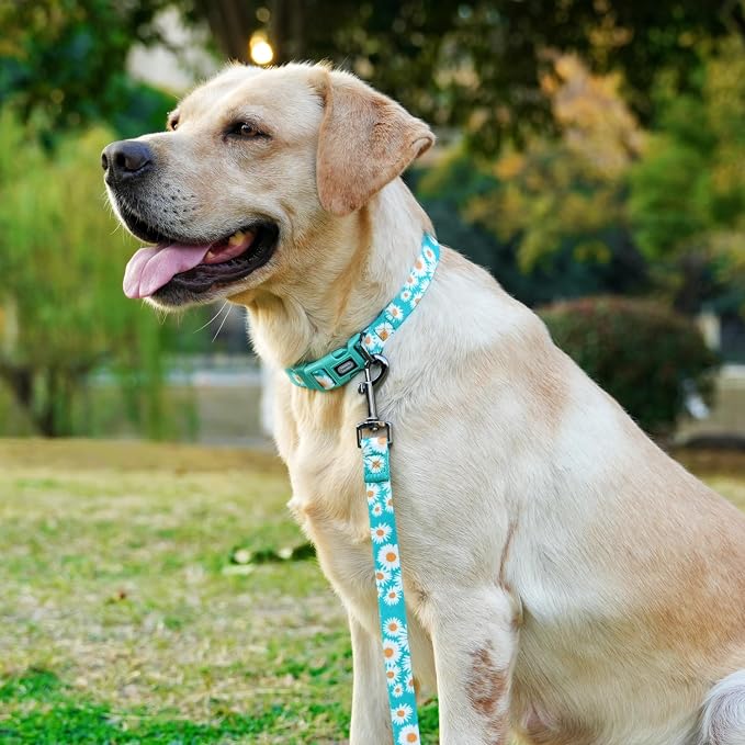 Dog Collar and Leash Set, Cute Daisy Pattern, Polyester Material, 5ft Leash, for Small Dogs.(Small,Green Daisy)