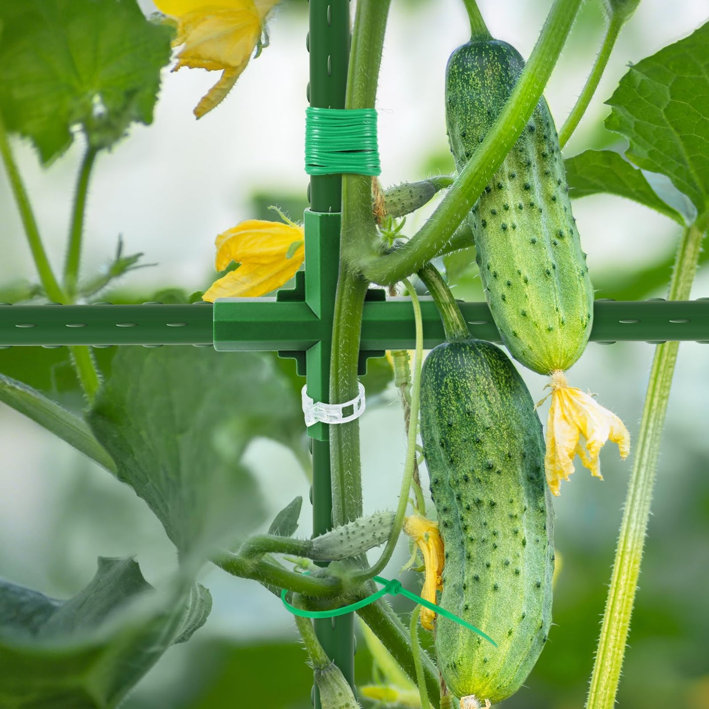Large Cucumber Trellis for Raised Bed, U-Shape Garden Trellis for Climbing Plants Outdoor,Adjustable Metal Arch Vegetables Trellis,Plant Support Garden Stakes for Vine (Green,49.2x49.2x23.6)