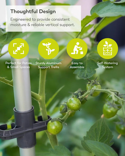 BUZZY Seeds Self-Watering Vertical Tomato Planter with Trellis – 1.2 Gal Reservoir, Large Capacity Planter for Tomatoes & Climbing Plants (Grey)