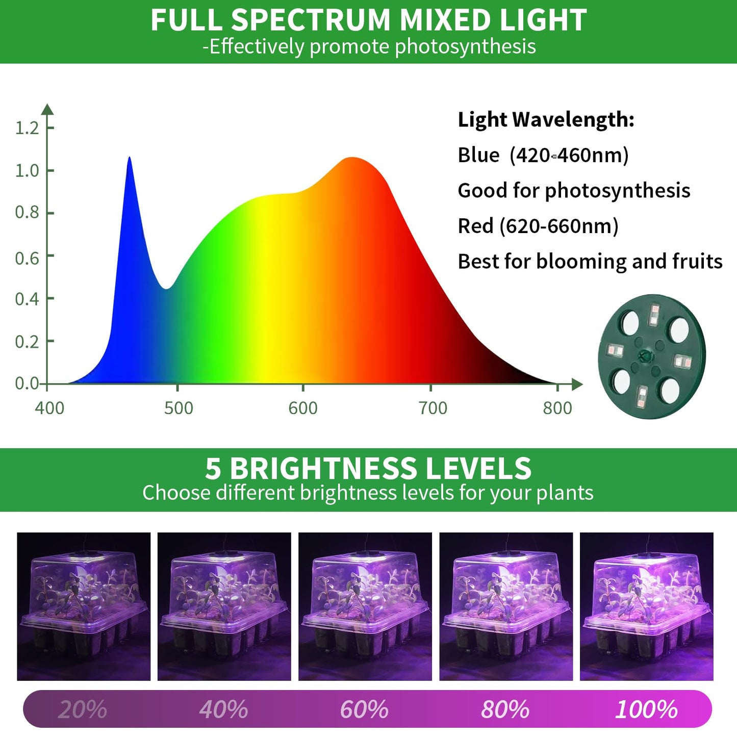 Qoolife Seed Starter Tray with Plant Light, 2 Pack Grow Lights for Seed Starting Kit with Humidity Domes, Timing Controller Adjustable Brightness for Greenhouse Propagator Station Growing Transparent