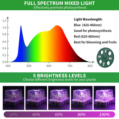 Qoolife Seed Starter Tray with Plant Light, 2 Pack Grow Lights for Seed Starting Kit with Humidity Domes, Timing Controller Adjustable Brightness for Greenhouse Propagator Station Growing Transparent