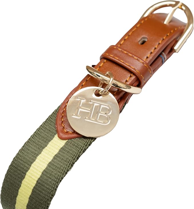 Harry Barker Green Pieced Stripe Buckle Collar - Medium