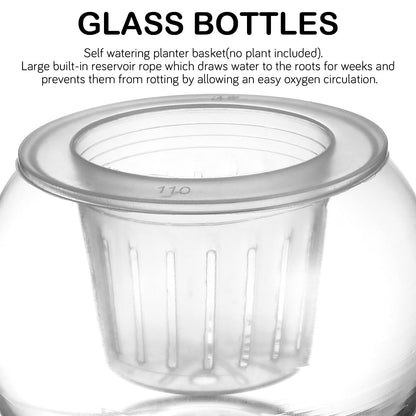 YARNOW Hydroponic Plant Water Storage Bottle with Removable Planting Basket 5.90X5.90X4.33In Clear Self Watering Flowerpot for Indoor Outdoor Aquatic Plants Home Desk Decor