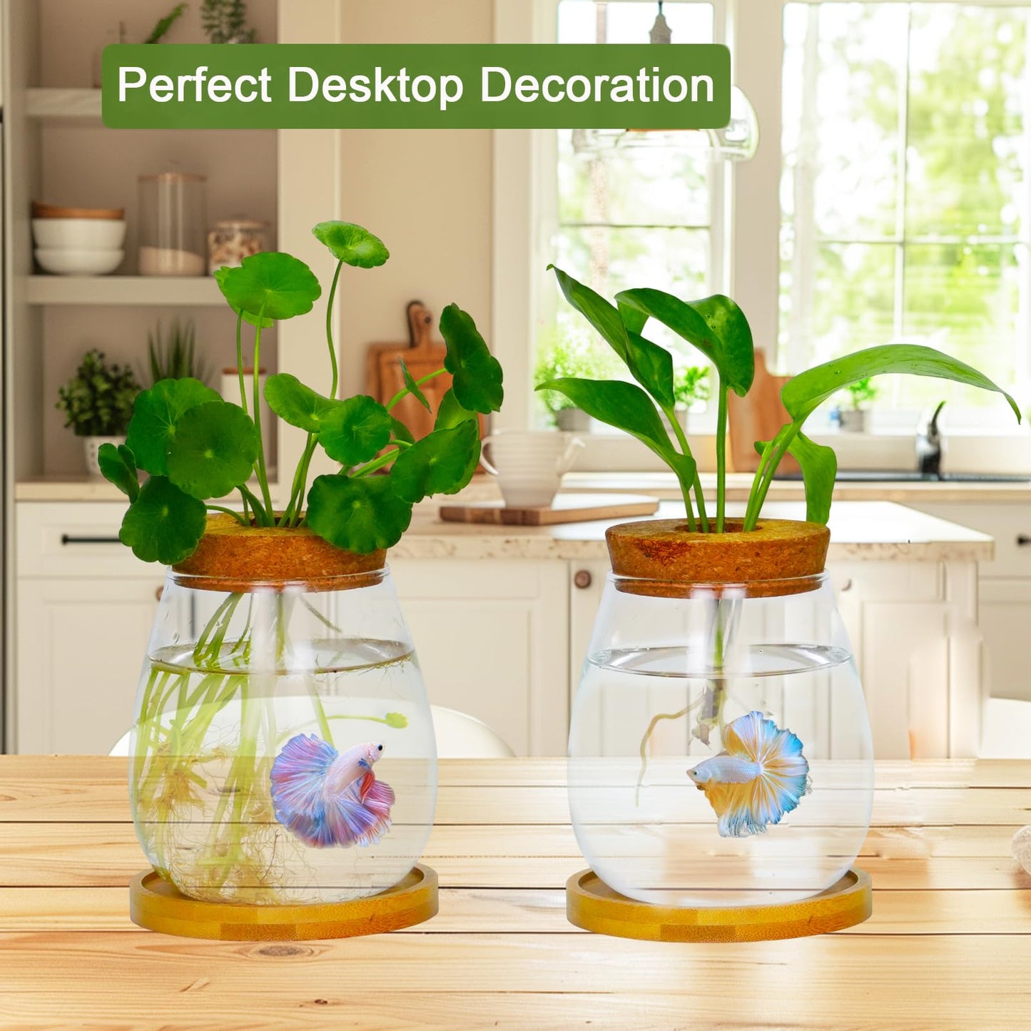 Desktop Plants Terrarium Propagation Station Hydroponic Planters Retro Oval Glass Vase with Lid and Stand Home Office Decoration Gifts 2 Pack