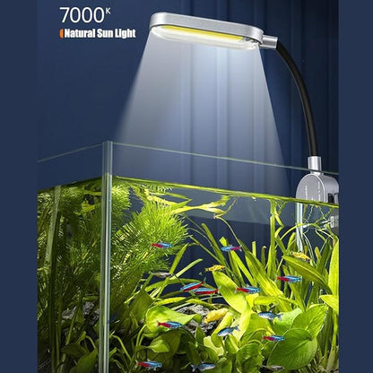 2.5 Gallon Fish Tank Starter Kits, with Led Light, Filter Pump, Cover, Small Fish Tank Betta Aquarium (30x18x20CM)