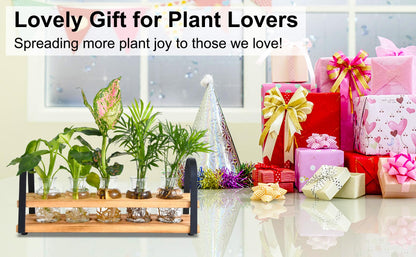 VIKEYHOME Plant Propagation Station with Wood Stand, Desktop Terrarium for Hydroponic, Flower Vase for Home, Kitchen, Office Decor, Plants Lover Gifts