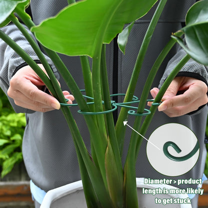 Yohsnor Monstera Plant Stem Support - 5 Pack 6.5"x6.5" Green Metal Stem Stabilizers, Adjustable Ring Clamps for Indoor Plants, Fishbone Cactus, Turtle Shell Bamboo & Climbing Vines