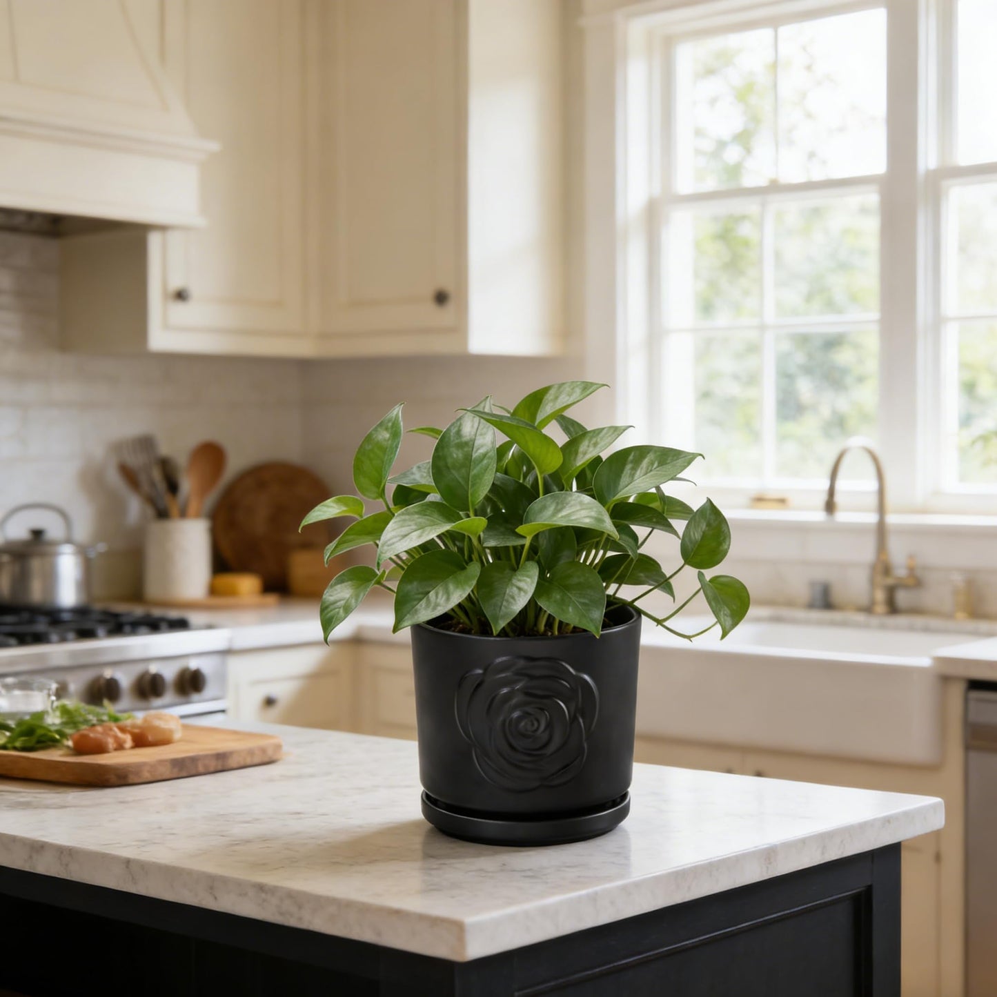 Ekirlin 7 inch Plant Pots,Ceramic Rose Flower Planters Indoor,Modern Succulents Containers with Drain Hole Saucer,Weatherproof Pot for Decorate Home,Office & Outdoor (Black)