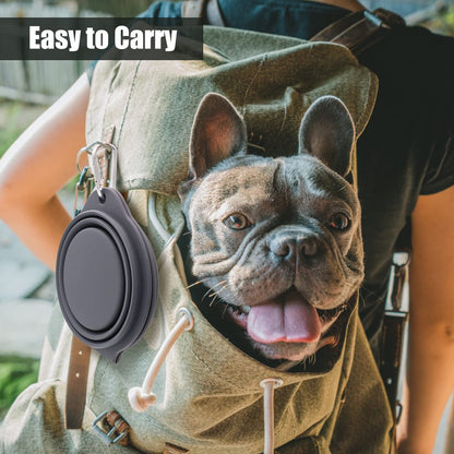 SLSON Collapsible Dog Bowls,Integrated Molding Dog Double Bowl No Plastic Rim 2 in 1 Foldable Pet Food & Water Bowl Cat Feeder Dish for Walking,Hiking,Camping (Cold Grey)