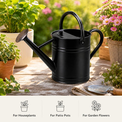 1 Gallon Metal Watering Can for Indoor Outdoor Plants, Galvanized Steel Watering Can with Removable Spout, 2 Stainless Steel Handles, Garden Flower Watering Pot