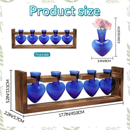 Plant Terrarium Hanging Propagation Stations Gift for Women Air Plants Holder with Wooden Stand Heart Glass