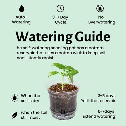 Bluepro 12 Pack 6.5 Inch Clear Self Watering Plant Pots with Bottom Water Tray & Watering Rope, Transparent Nursery Pots with Drainage for Seedlings, Herbs, and Houseplants