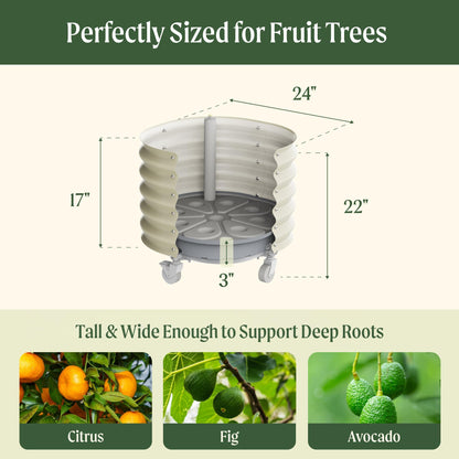 Rolling Metal Citrus Tree Planter, Self-Watering Round Large Pot for Growing Trees Tomatoes Outdoor Plants Vegetables and Flowers, Raised Garden Bed with Wheels for Porch Patio & Backyard, Modern Gray