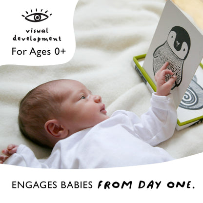Wee Gallery Art Cards for Baby, Durable High Contrast Black and White Animal Flashcards for Newborns, Brain Development, Sensory Toys, Tummy Time Essentials for Infant and Toddler - Rainforest Animals