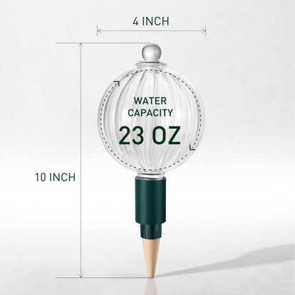 Soilagua 23 oz Extra Large Plant Watering Globes Top Fill, Clear Glass Water Bulbs with Terracotta Spikes Adapter, Slow Release Vacation Plant Watering Devices, Automatic Drip Irrigation, 2 Pack