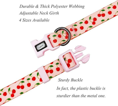 Dog Collar and Leash Set, Cherry Pattern, Polyester Material, 5ft Leash, for Puppy Dogs.(Extra Small,Pink Cherry)