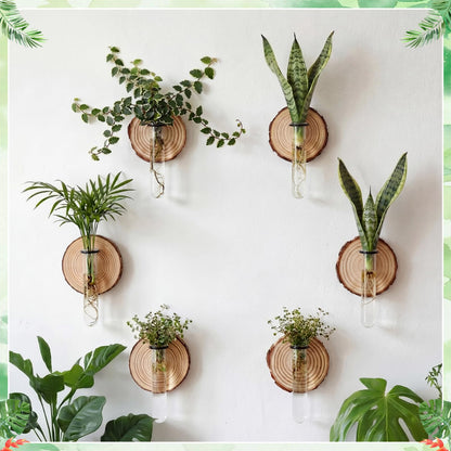 Chumia 6 Pcs Plant Propagation Stations Wall Hanging Planter Glass Plant Propagation Station, Natural Wood Slices Stand for Home Office Decoration