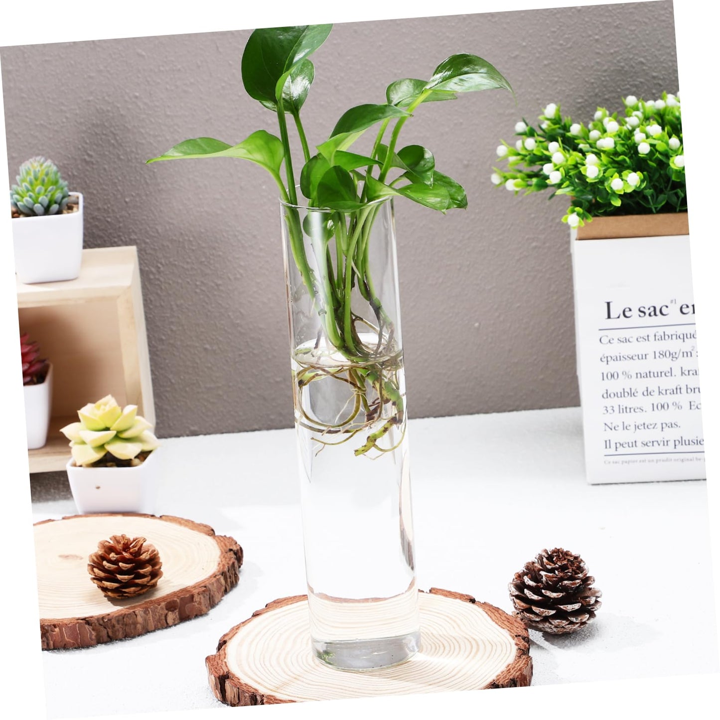 Zerodeko 2pcs Clear Glass Cylinder Wall Vases Sleek Hanging Glass Planters for Hydroponic Terrarium Plants Transparent Wall Mounted Floral Holders with Streamlined Design for Home and