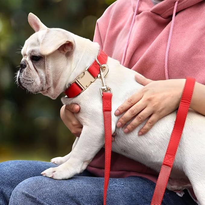 PET ARTIST Soft PU Leather Dog Collar and Leash Set, Bright & Stylish 5FT PU Leather Leash and Collar Set, Durable Pet Collars with Quick Release Metal Buckle for Medium Dogs,Red,M(13-19")
