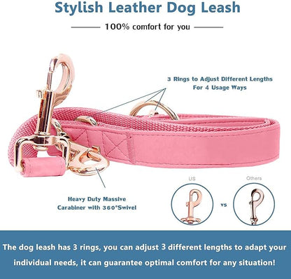 Soft Leather Dog Collar and Leash (6.6') Set - Stylish Rose Gold Heavy Duty Metal Buckle, 4 Adjustable Lengths Leash for Small Medium Large Dogs - Comfortable & Easy to Clean Dark Pink XS(8"-12")