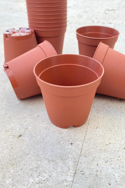 serazat 50 Pack Mini Brown Plastic Plant Pots – 2.16 x 1.97 Inch Nursery Pots for Small Plants, Succulents, Flowers – Ideal for Home & Office Decor